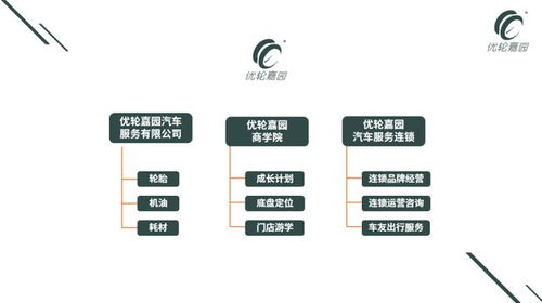 輪胎行業發展趨勢 輪胎店聯盟與單打獨斗的利弊及軟件開發的賦能作用
