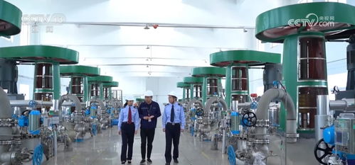 一站式跨境稅收服務產品 賦能全球投資的信息通、政策通、服務通與教學服務